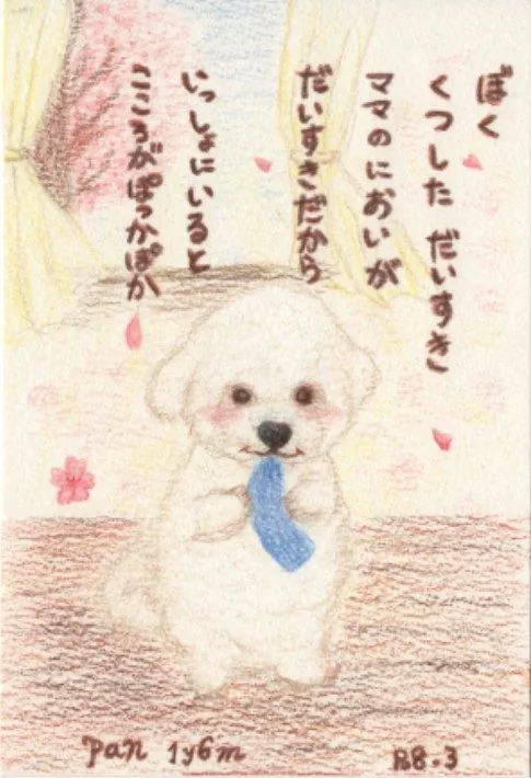 「ぼく くつした だいすき」の文字と白い犬のイラスト
